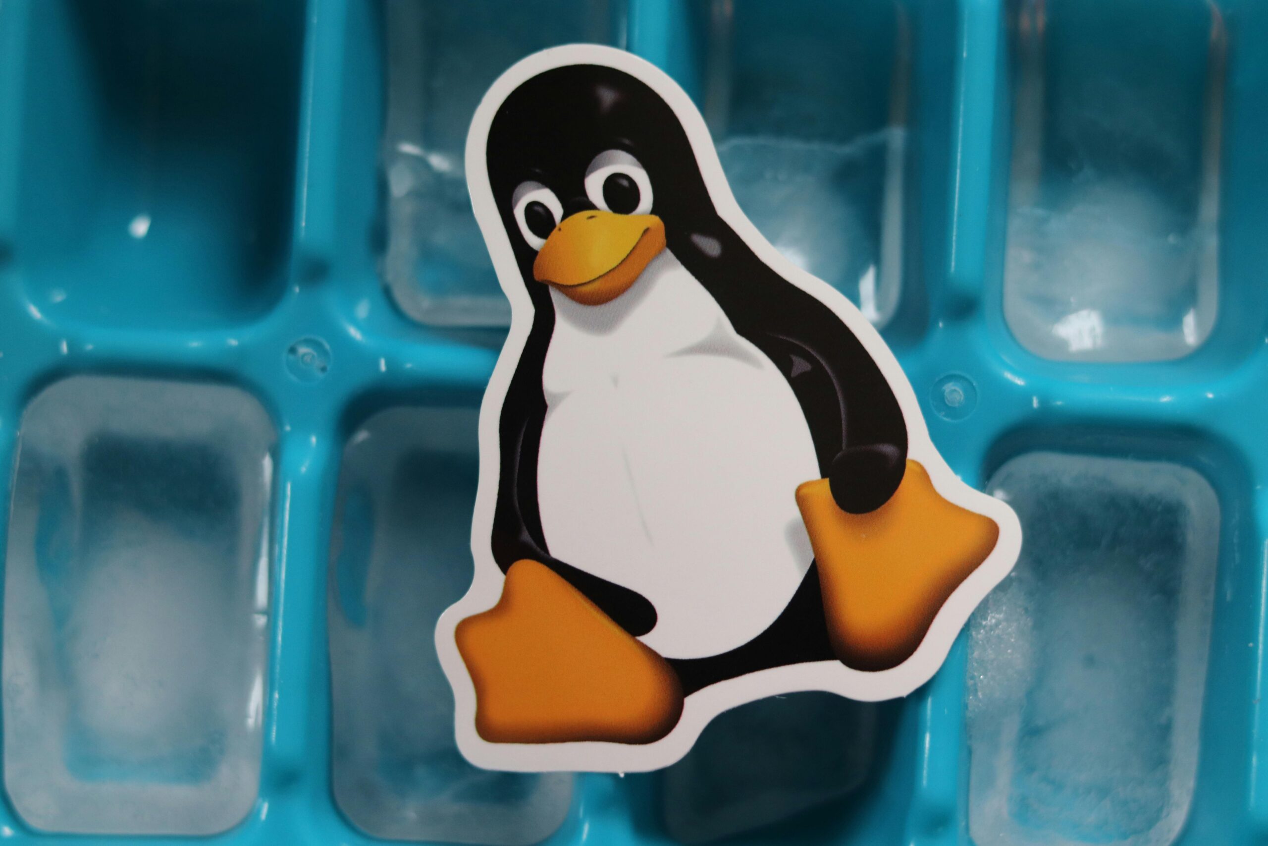 Komplet Guide til Sikring af Din Linux-Server